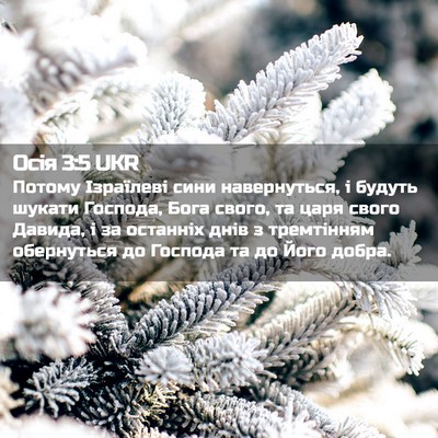 Picture 02 - Осія 3:5 UKR - Потому Ізраїлеві сини - Bible Verse Picture