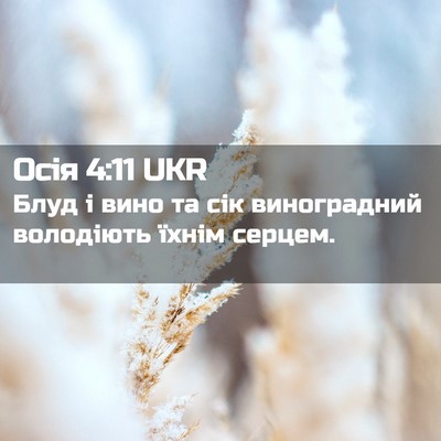 Picture 02 - Осія 4:11 UKR - Блуд і вино та сік - Bible Verse Picture