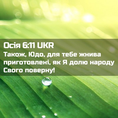 Picture 02 - Осія 6:11 UKR - Також, Юдо, для тебе жнива - Bible Verse Picture