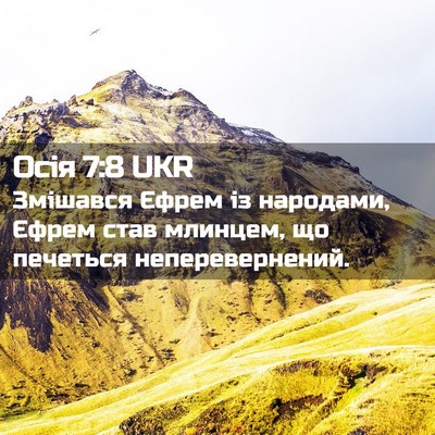 Picture 02 - Осія 7:8 UKR - Змішався Єфрем із - Bible Verse Picture