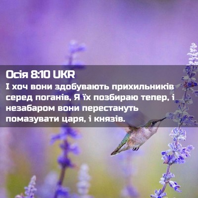 Picture 02 - Осія 8:10 UKR - І хоч вони здобувають - Bible Verse Picture