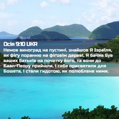 Picture 02 - Осія 9:10 UKR - Немов виноград на пустині, - Bible Verse Picture