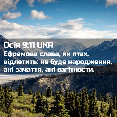 Picture 02 - Осія 9:11 UKR - Єфремова слава, як птах, - Bible Verse Picture
