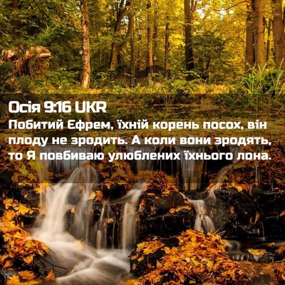 Picture 02 - Осія 9:16 UKR - Побитий Єфрем, їхній - Bible Verse Picture