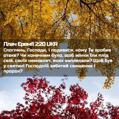 Picture 02 - Плач Єремії 2:20 UKR - Споглянь, Господи, і - Bible Verse Picture