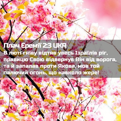 Picture 02 - Плач Єремії 2:3 UKR - В люті гніву відтяв увесь - Bible Verse Picture