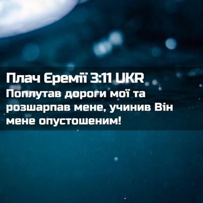 Picture 02 - Плач Єремії 3:11 UKR - Поплутав дороги мої та - Bible Verse Picture