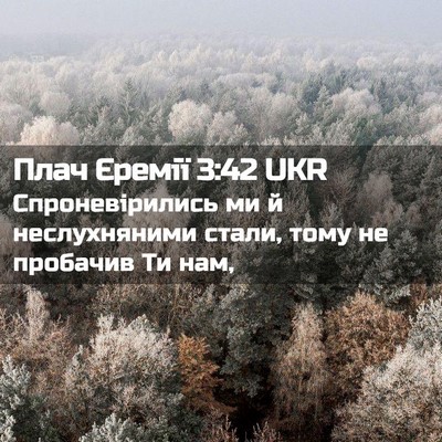 Picture 02 - Плач Єремії 3:42 UKR - Спроневірились ми й - Bible Verse Picture