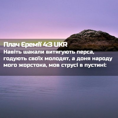 Picture 02 - Плач Єремії 4:3 UKR - Навіть шакали витягують - Bible Verse Picture