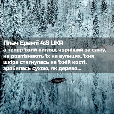 Picture 02 - Плач Єремії 4:8 UKR - а тепер їхній вигляд - Bible Verse Picture