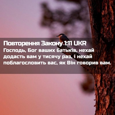 Picture 02 - Повторення Закону 1:11 UKR - Господь, Бог ваших батьків, - Bible Verse Picture