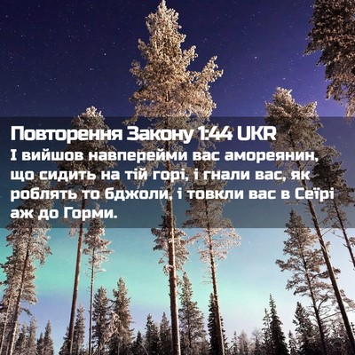 Picture 02 - Повторення Закону 1:44 UKR - І вийшов навперейми вас - Bible Verse Picture
