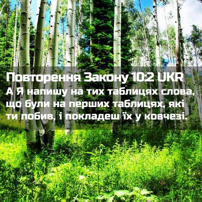 Picture 02 - Повторення Закону 10:2 UKR - А Я напишу на тих таблицях - Bible Verse Picture
