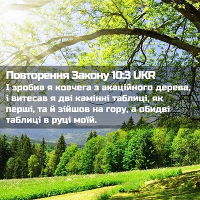 Picture 02 - Повторення Закону 10:3 UKR - І зробив я ковчега з - Bible Verse Picture