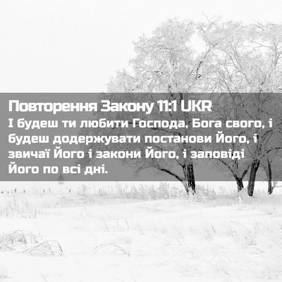 Picture 02 - Повторення Закону 11:1 UKR - І будеш ти любити Господа, - Bible Verse Picture