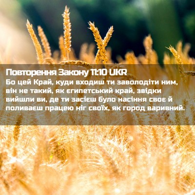 Picture 02 - Повторення Закону 11:10 UKR - Бо цей Край, куди входиш ти - Bible Verse Picture