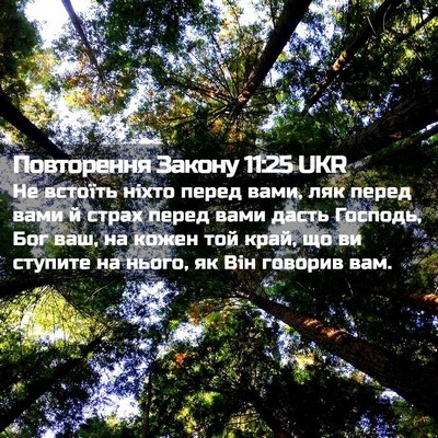 Picture 02 - Повторення Закону 11:25 UKR - Не встоїть ніхто перед - Bible Verse Picture