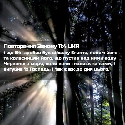 Picture 02 - Повторення Закону 11:4 UKR - і що Він зробив був війську - Bible Verse Picture