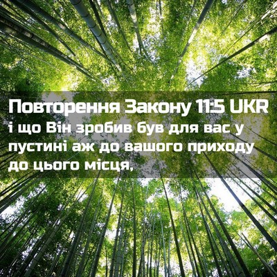 Picture 02 - Повторення Закону 11:5 UKR - і що Він зробив був для вас - Bible Verse Picture