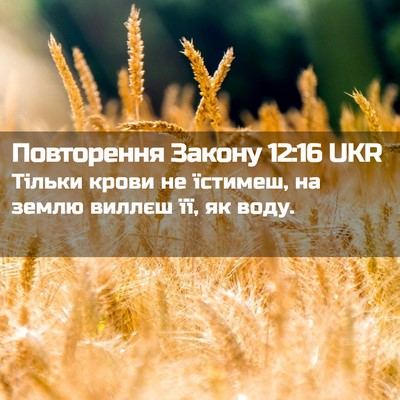 Picture 02 - Повторення Закону 12:16 UKR - Тільки крови не їстимеш, на - Bible Verse Picture
