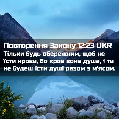 Picture 02 - Повторення Закону 12:23 UKR - Тільки будь обережним, щоб - Bible Verse Picture