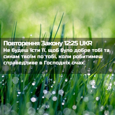 Picture 02 - Повторення Закону 12:25 UKR - Не будеш їсти її, щоб було - Bible Verse Picture