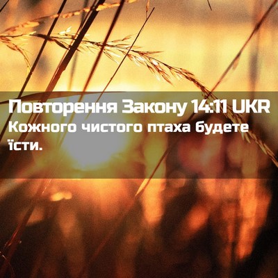 Picture 02 - Повторення Закону 14:11 UKR - Кожного чистого птаха - Bible Verse Picture