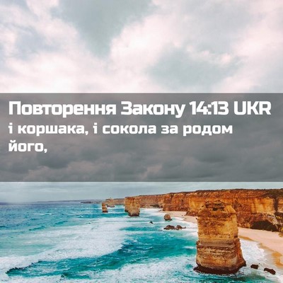 Picture 02 - Повторення Закону 14:13 UKR - і коршака, і сокола за - Bible Verse Picture