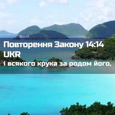 Picture 02 - Повторення Закону 14:14 UKR - і всякого крука за родом - Bible Verse Picture
