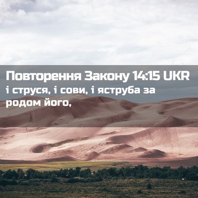 Picture 02 - Повторення Закону 14:15 UKR - і струся, і сови, і яструба - Bible Verse Picture