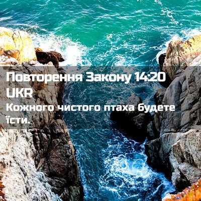 Picture 02 - Повторення Закону 14:20 UKR - Кожного чистого птаха - Bible Verse Picture