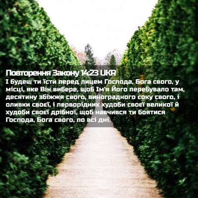 Picture 02 - Повторення Закону 14:23 UKR - І будеш ти їсти перед лицем - Bible Verse Picture