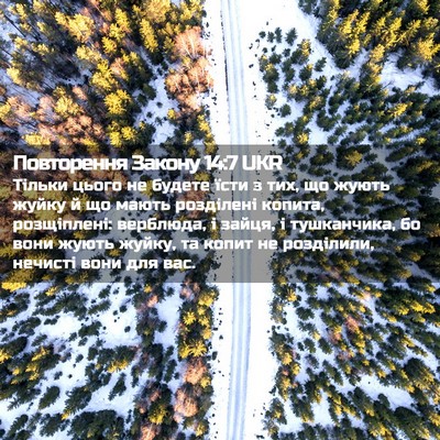 Picture 02 - Повторення Закону 14:7 UKR - Тільки цього не будете - Bible Verse Picture