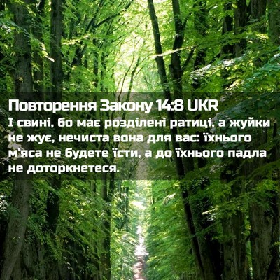 Picture 02 - Повторення Закону 14:8 UKR - І свині, бо має розділені - Bible Verse Picture