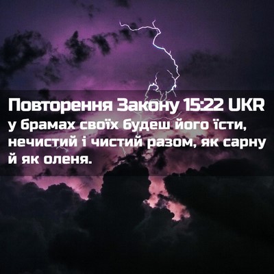 Picture 02 - Повторення Закону 15:22 UKR - у брамах своїх будеш його - Bible Verse Picture