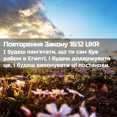 Picture 02 - Повторення Закону 16:12 UKR - І будеш пам'ятати, що ти сам - Bible Verse Picture