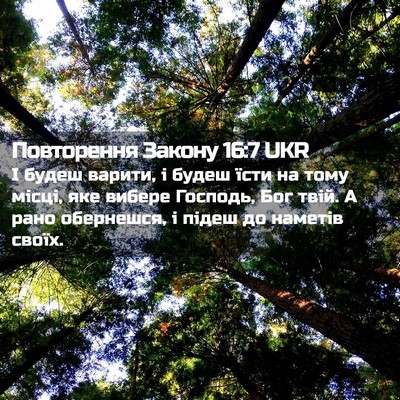Picture 02 - Повторення Закону 16:7 UKR - І будеш варити, і будеш - Bible Verse Picture