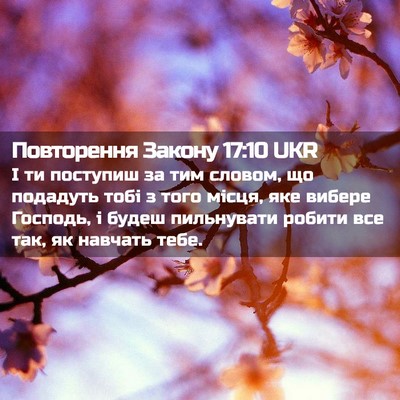 Picture 02 - Повторення Закону 17:10 UKR - І ти поступиш за тим - Bible Verse Picture