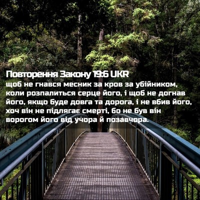 Picture 02 - Повторення Закону 19:6 UKR - щоб не гнався месник за - Bible Verse Picture