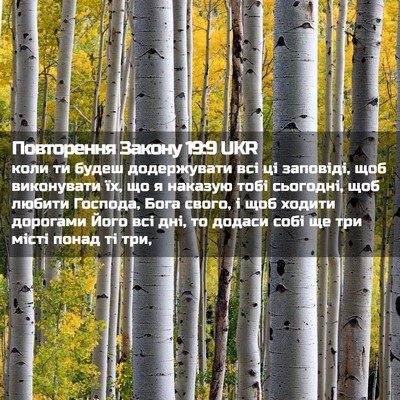 Picture 02 - Повторення Закону 19:9 UKR - коли ти будеш додержувати - Bible Verse Picture