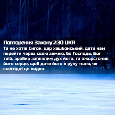 Picture 02 - Повторення Закону 2:30 UKR - Та не хотів Сигон, цар - Bible Verse Picture