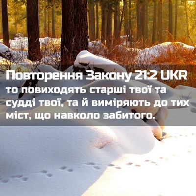 Picture 02 - Повторення Закону 21:2 UKR - то повиходять старші твої - Bible Verse Picture