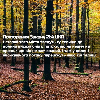Picture 02 - Повторення Закону 21:4 UKR - І старші того міста - Bible Verse Picture