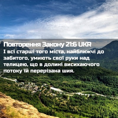 Picture 02 - Повторення Закону 21:6 UKR - І всі старші того міста, - Bible Verse Picture