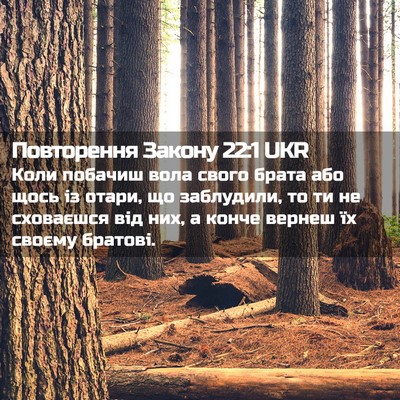 Picture 02 - Повторення Закону 22:1 UKR - Коли побачиш вола свого - Bible Verse Picture