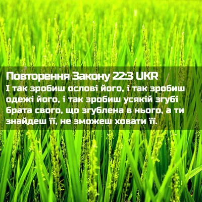 Picture 02 - Повторення Закону 22:3 UKR - І так зробиш ослові його, і - Bible Verse Picture