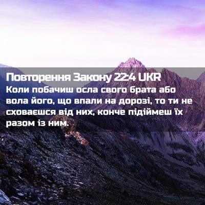 Picture 02 - Повторення Закону 22:4 UKR - Коли побачиш осла свого - Bible Verse Picture