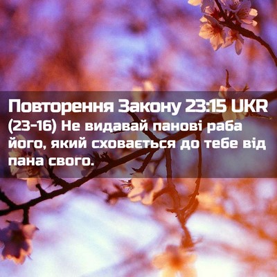 Picture 02 - Повторення Закону 23:15 UKR - (23-16) Не видавай панові раба - Bible Verse Picture