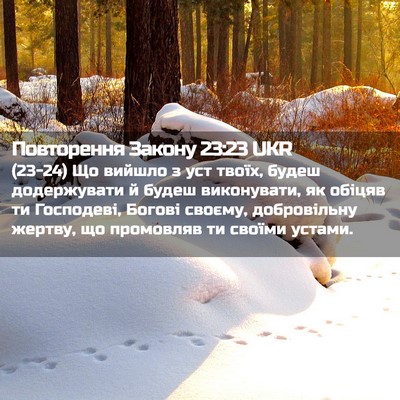 Picture 02 - Повторення Закону 23:23 UKR - (23-24) Що вийшло з уст твоїх, - Bible Verse Picture