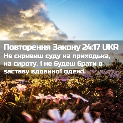 Picture 02 - Повторення Закону 24:17 UKR - Не скривиш суду на - Bible Verse Picture